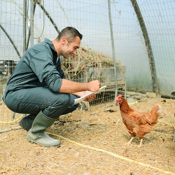 P1 1 Recovered43 min