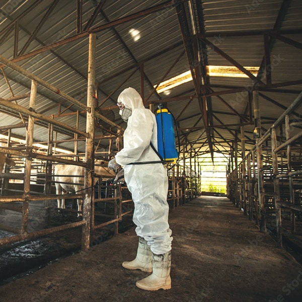 Poultry Disinfectants